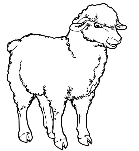 Free printable Sheep coloring page #198679 from Animals collection Free printable Sheep coloring page #198679 from Animals collection