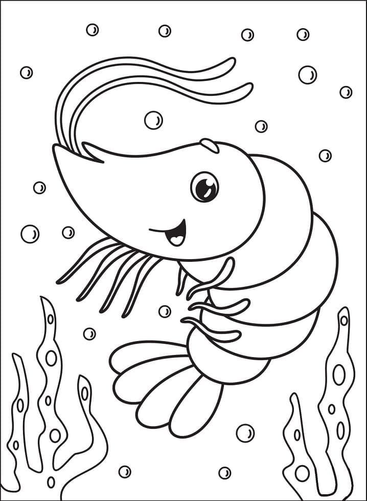 Free printable Shrimp coloring page #208542 from Animals collection