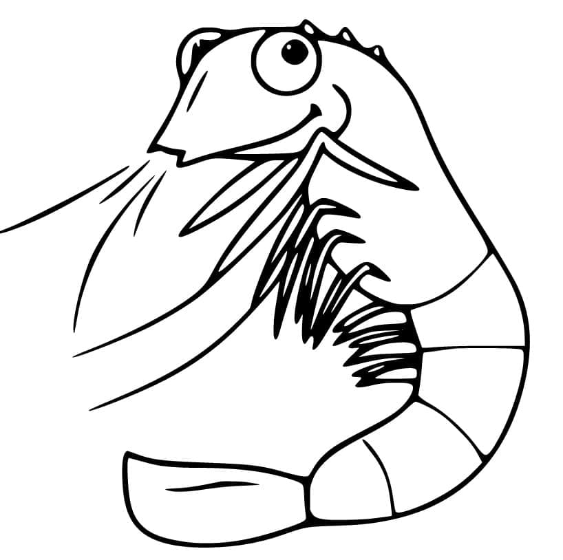 Free printable Shrimp coloring page #208558 from Animals collection