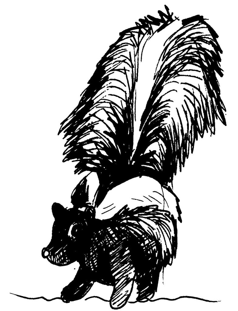 Coloring page: Skunk (Animals) #11192 - Free Printable Coloring Pages