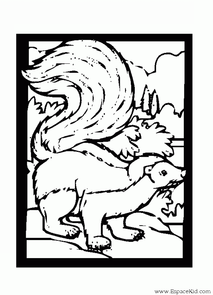 Coloring page: Skunk (Animals) #11290 - Free Printable Coloring Pages