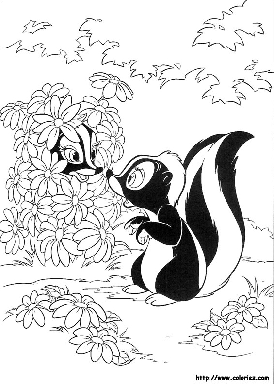Coloring page: Skunk (Animals) #11295 - Free Printable Coloring Pages