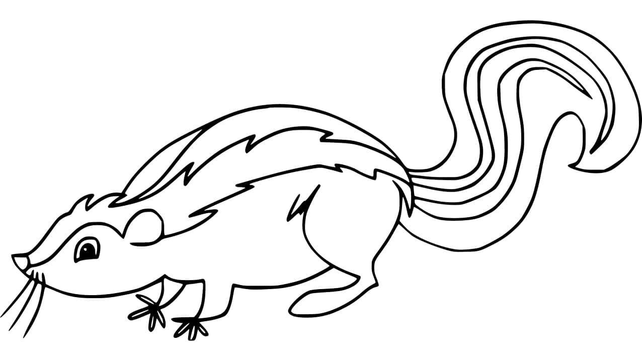 Free printable Skunk coloring page #205280 from Animals collection Free printable Skunk coloring page #205280 from Animals collection