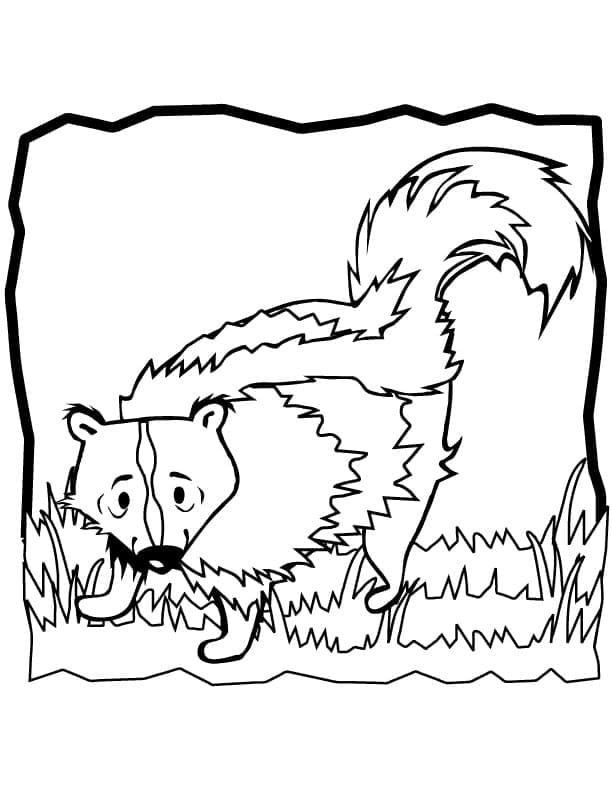 Free printable Skunk coloring page #205281 from Animals collection