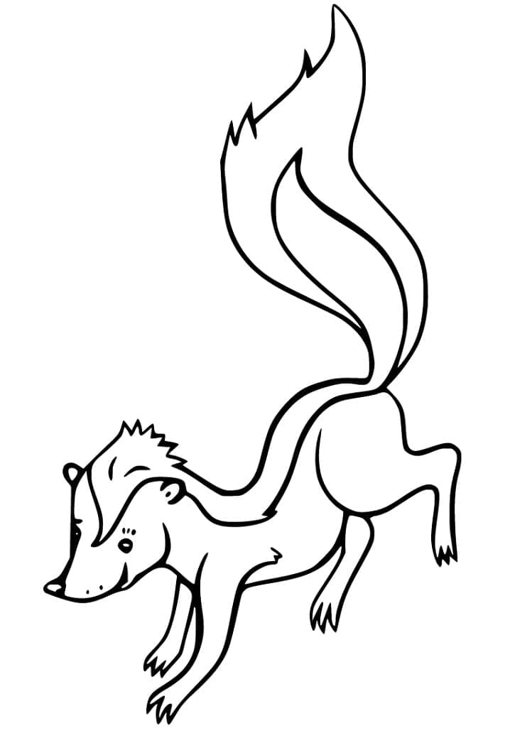 Free printable Skunk coloring page #205291 from Animals collection Free printable Skunk coloring page #205291 from Animals collection