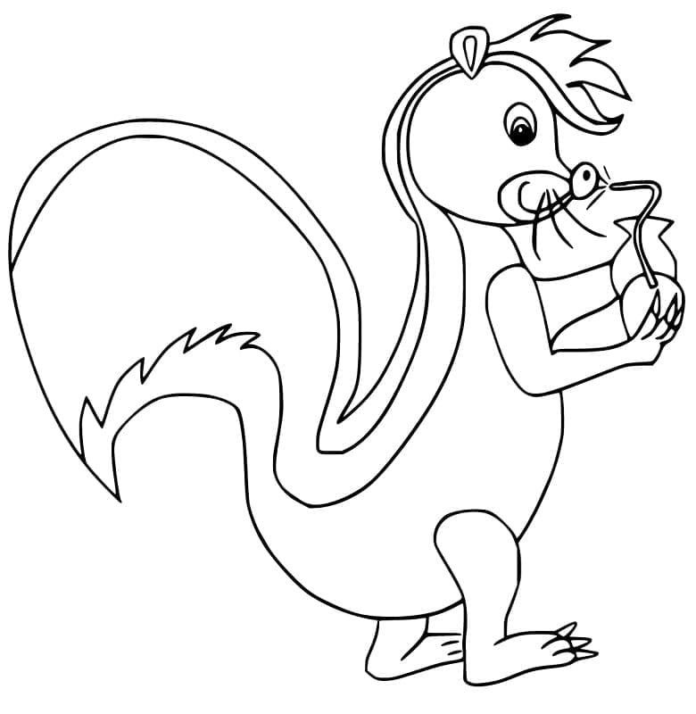Free printable Skunk coloring page #205295 from Animals collection Free printable Skunk coloring page #205295 from Animals collection