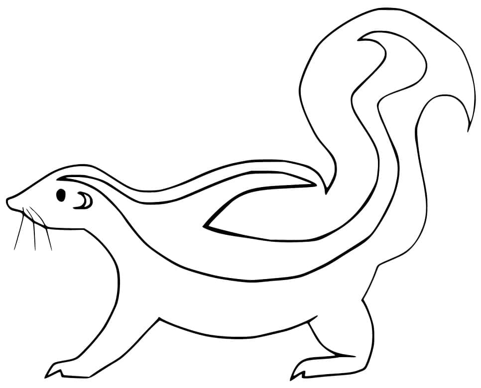 Free printable Skunk coloring page #205302 from Animals collection
