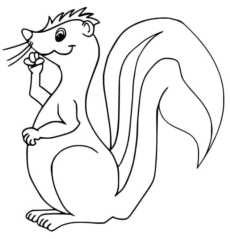 Free printable Skunk coloring page #205304 from Animals collection Free printable Skunk coloring page #205304 from Animals collection
