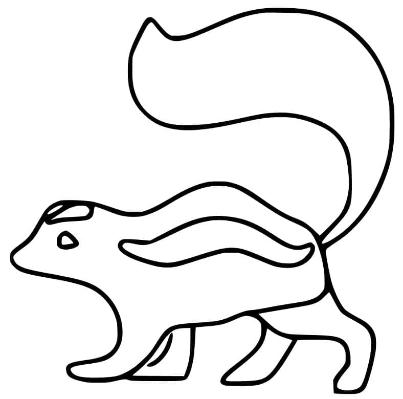 Free printable Skunk coloring page #205307 from Animals collection