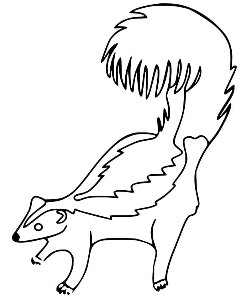 Free printable Skunk coloring page #205309 from Animals collection Free printable Skunk coloring page #205309 from Animals collection