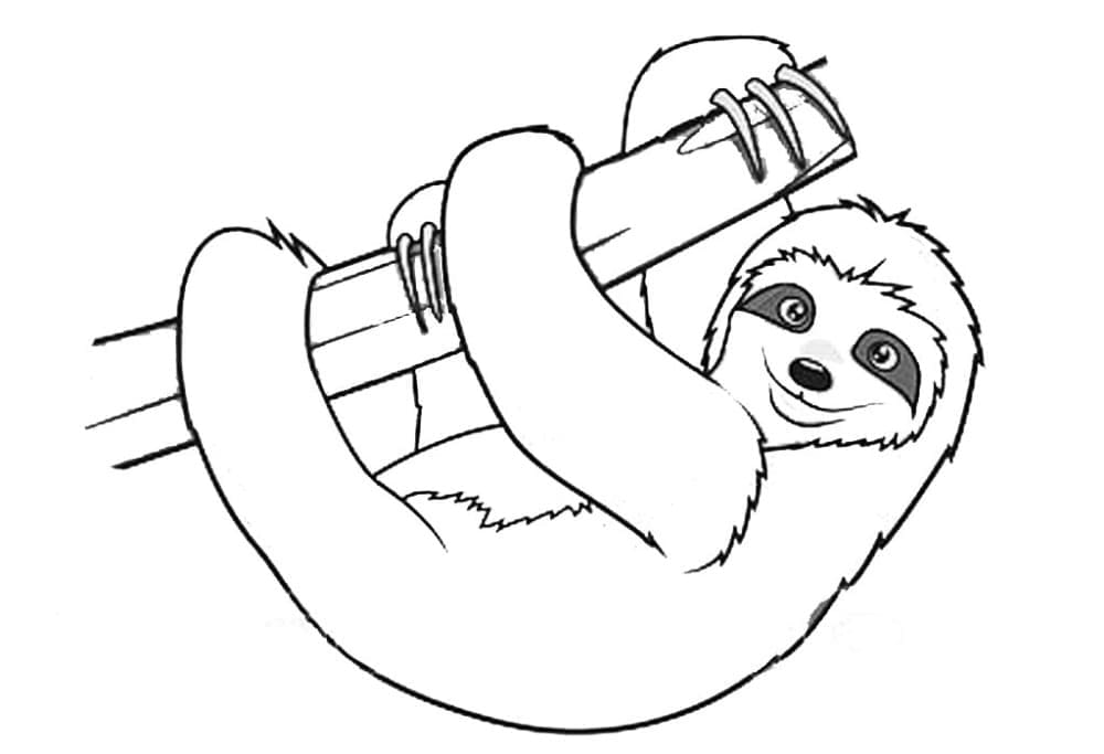 Free printable Sloth coloring page #210405 from Animals collection