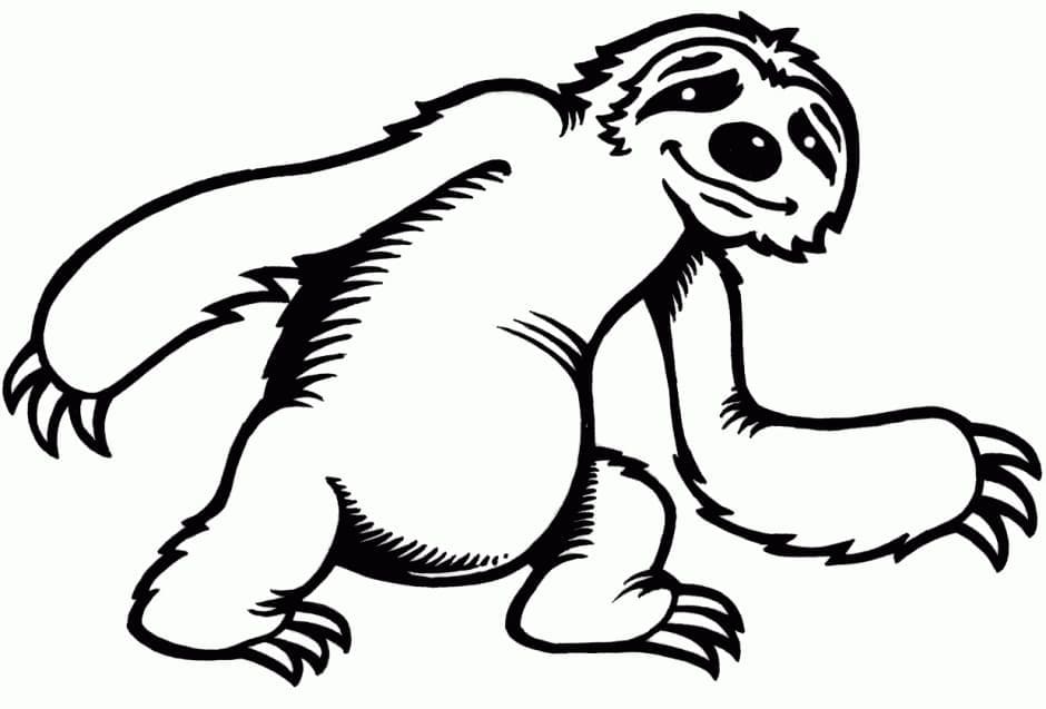 Free printable Sloth coloring page #210415 from Animals collection