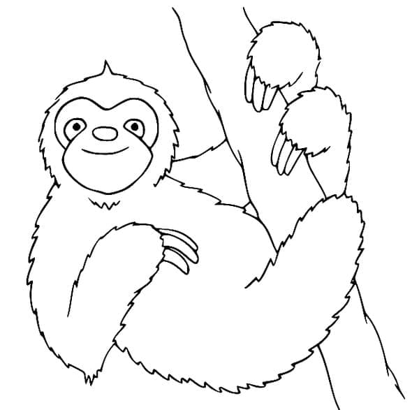 Free printable Sloth coloring page #210428 from Animals collection