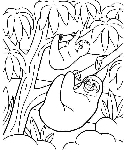 Free printable Sloth coloring page #210429 from Animals collection Free printable Sloth coloring page #210429 from Animals collection