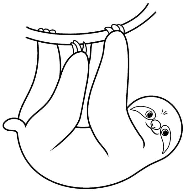 Free printable Sloth coloring page #210433 from Animals collection Free printable Sloth coloring page #210433 from Animals collection