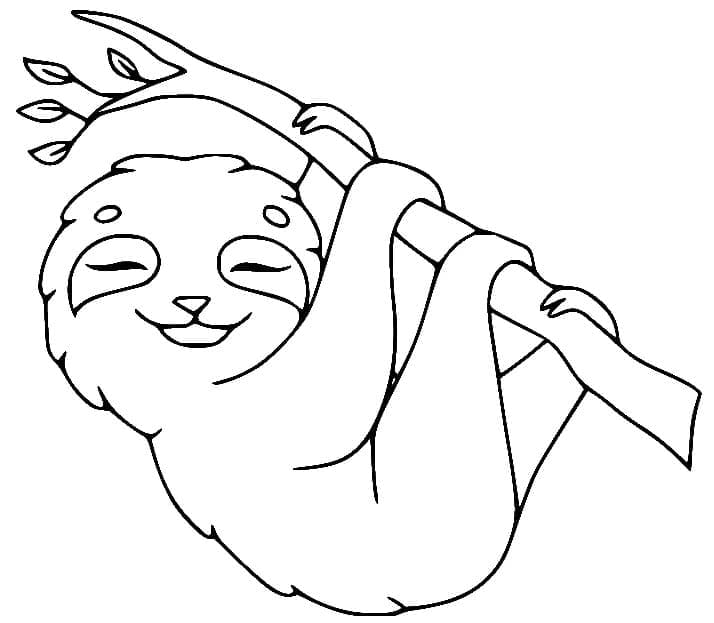 Free printable Sloth coloring page #210443 from Animals collection Free printable Sloth coloring page #210443 from Animals collection