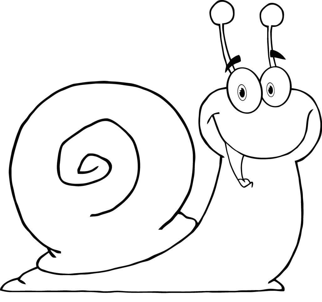 Free printable Snail coloring page #177404 from Animals collection