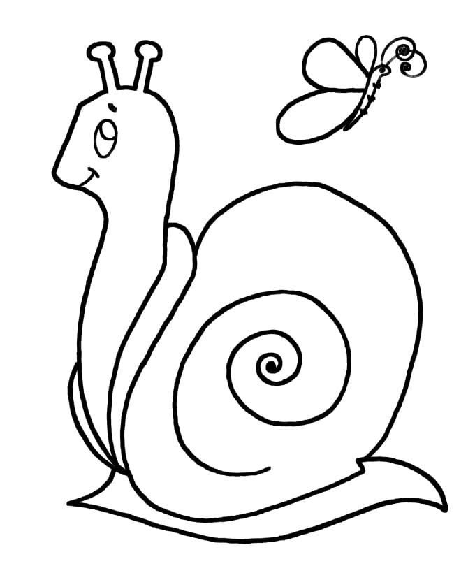 Free printable Snail coloring page #177405 from Animals collection