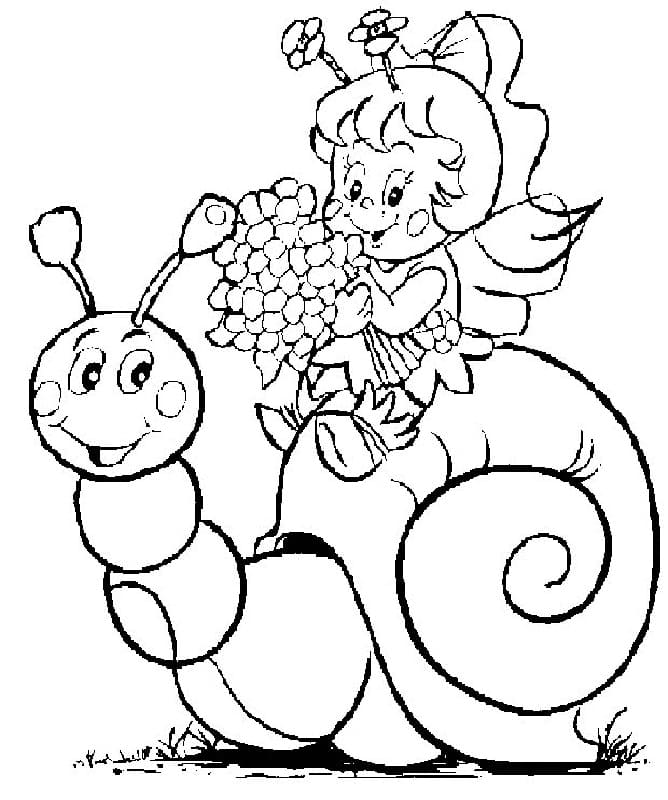 Free printable Snail coloring page #177409 from Animals collection Free printable Snail coloring page #177409 from Animals collection