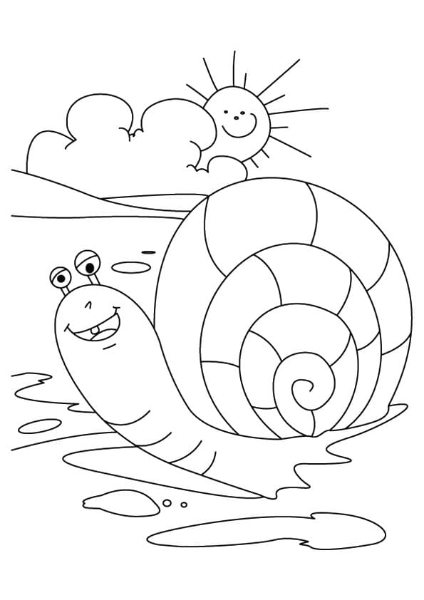 Free printable Snail coloring page #177413 from Animals collection