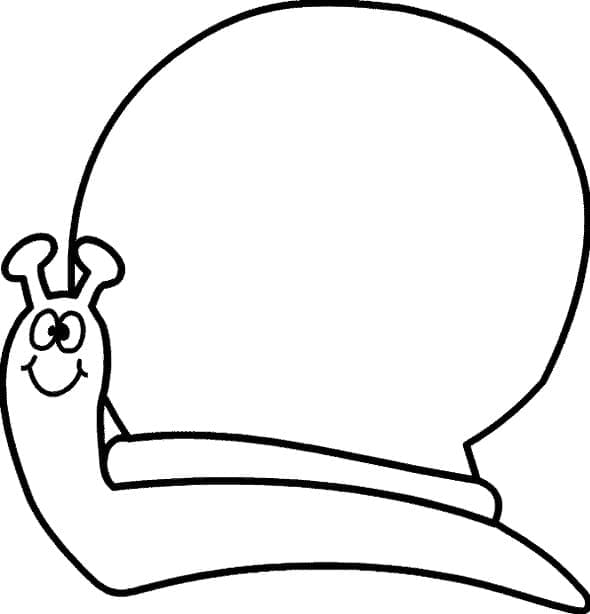 Free printable Snail coloring page #177415 from Animals collection