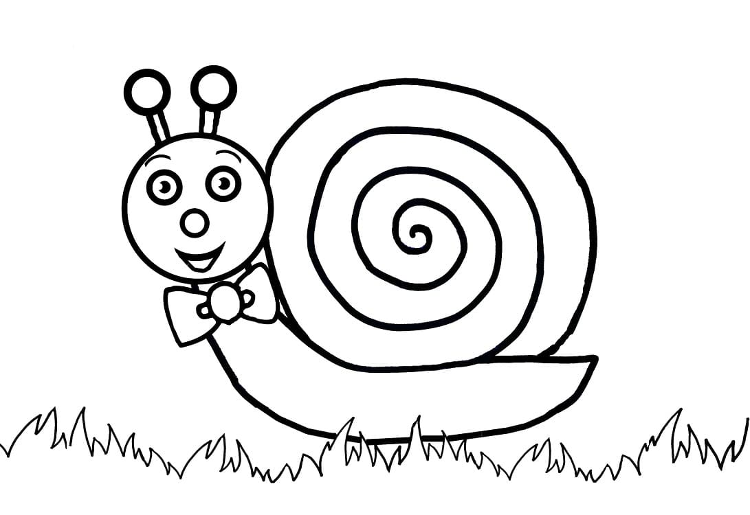 Free printable Snail coloring page #177417 from Animals collection