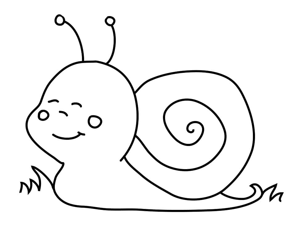 Free printable Snail coloring page #177420 from Animals collection