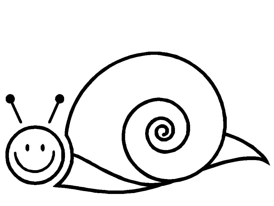 Free printable Snail coloring page #177423 from Animals collection