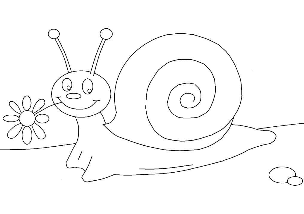 Free printable Snail coloring page #217000 from Animals collection