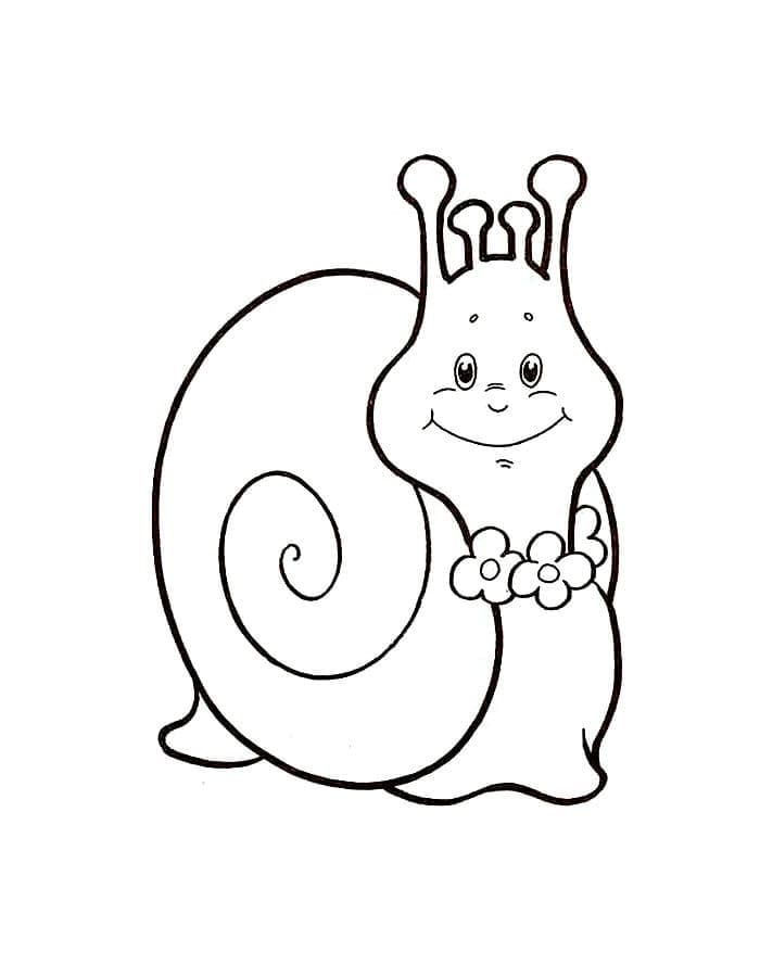 Free printable Snail coloring page #217004 from Animals collection