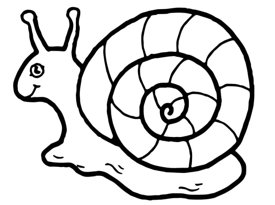 Free printable Snail coloring page #217008 from Animals collection