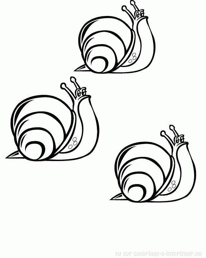 Coloring page: Snail (Animals) #6514 - Free Printable Coloring Pages