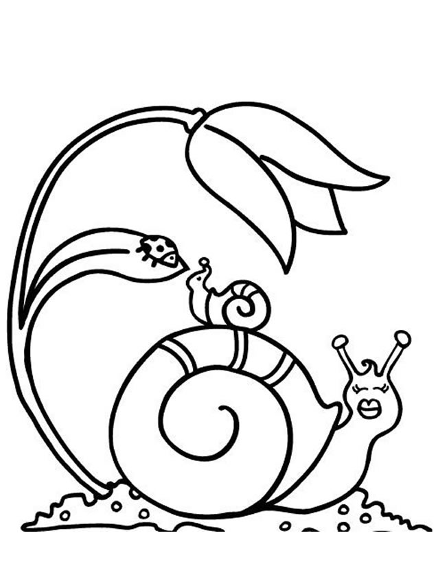 Coloring page: Snail (Animals) #6526 - Free Printable Coloring Pages