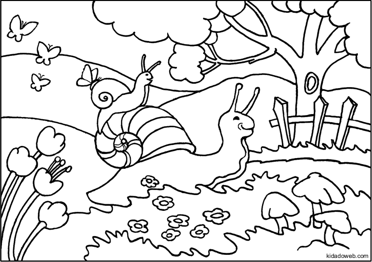 Coloring page: Snail (Animals) #6543 - Free Printable Coloring Pages