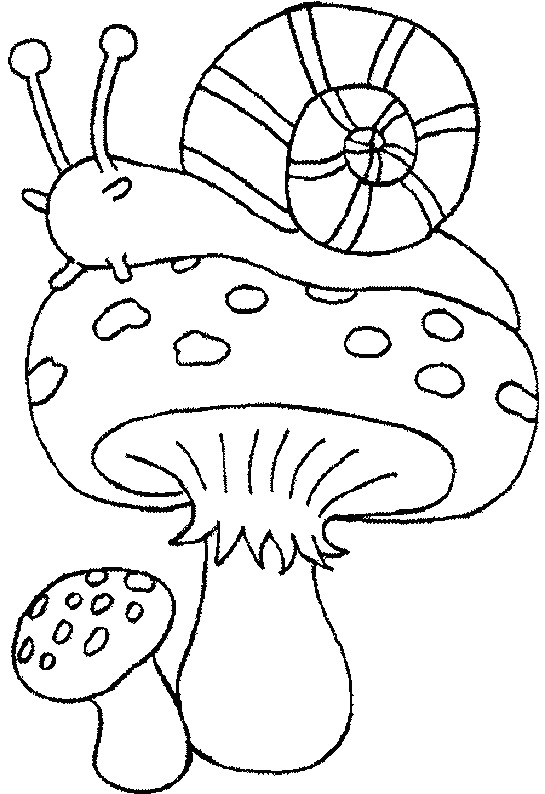 Coloring page: Snail (Animals) #6558 - Free Printable Coloring Pages