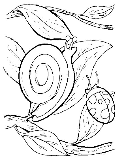 Coloring page: Snail (Animals) #6583 - Free Printable Coloring Pages