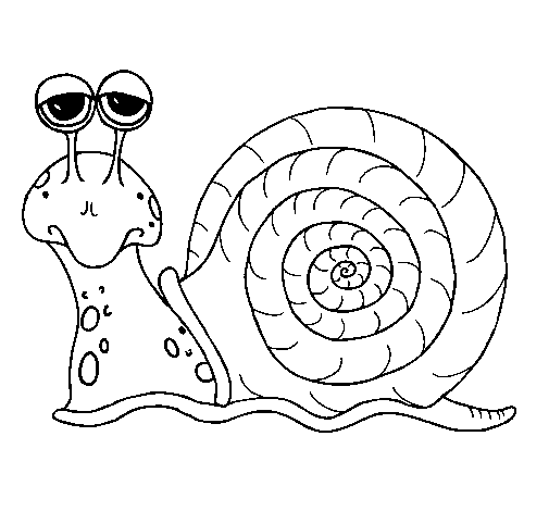 Coloring page: Snail (Animals) #6588 - Free Printable Coloring Pages