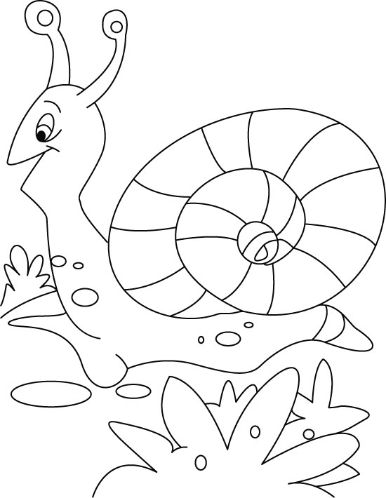 Coloring page: Snail (Animals) #6590 - Free Printable Coloring Pages