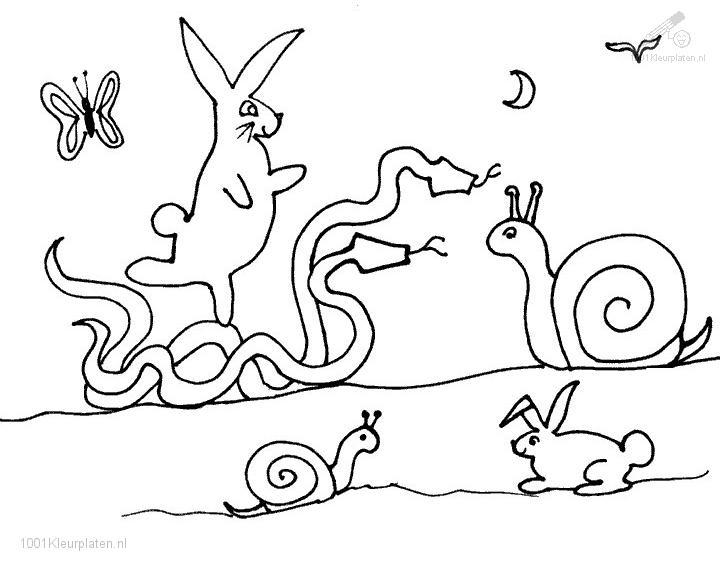 Coloring page: Snail (Animals) #6664 - Free Printable Coloring Pages