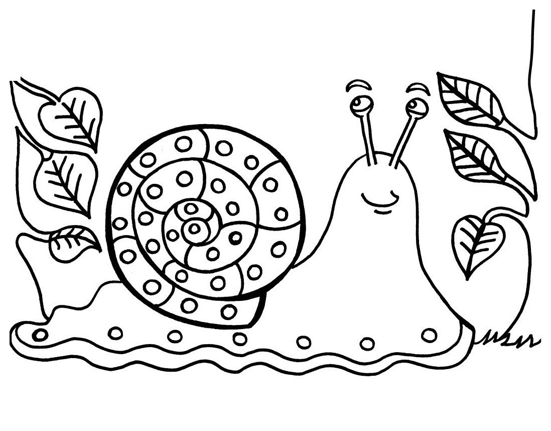 Drawing Snail 20 Animals – Printable coloring pages
