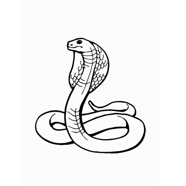 Coloring page: Snake (Animals) #14341 - Free Printable Coloring Pages
