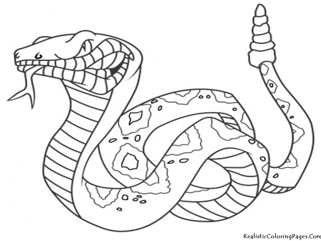 Coloring page: Snake (Animals) #14342 - Free Printable Coloring Pages