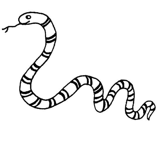 Coloring page: Snake (Animals) #14349 - Free Printable Coloring Pages