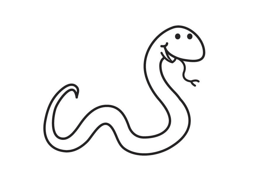 Coloring page: Snake (Animals) #14353 - Free Printable Coloring Pages