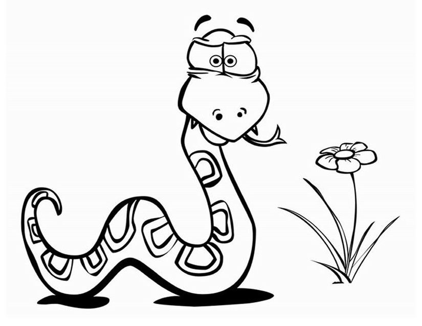 Coloring page: Snake (Animals) #14356 - Free Printable Coloring Pages