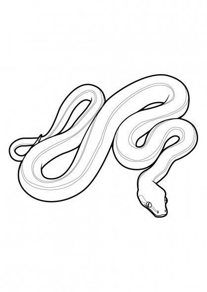 Coloring page: Snake (Animals) #14358 - Free Printable Coloring Pages