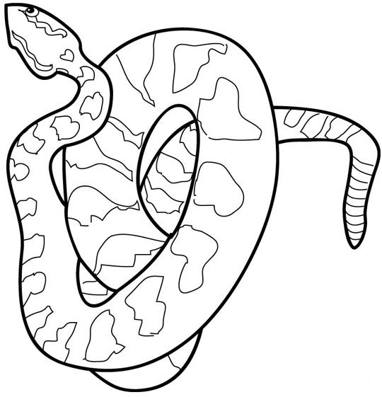 Coloring page: Snake (Animals) #14359 - Free Printable Coloring Pages