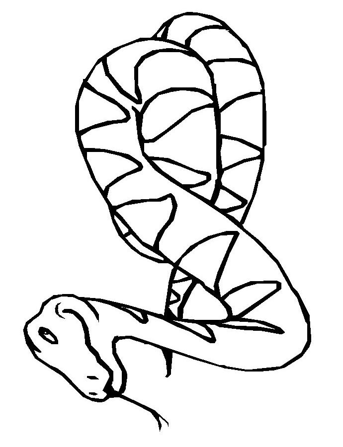 Coloring page: Snake (Animals) #14360 - Free Printable Coloring Pages