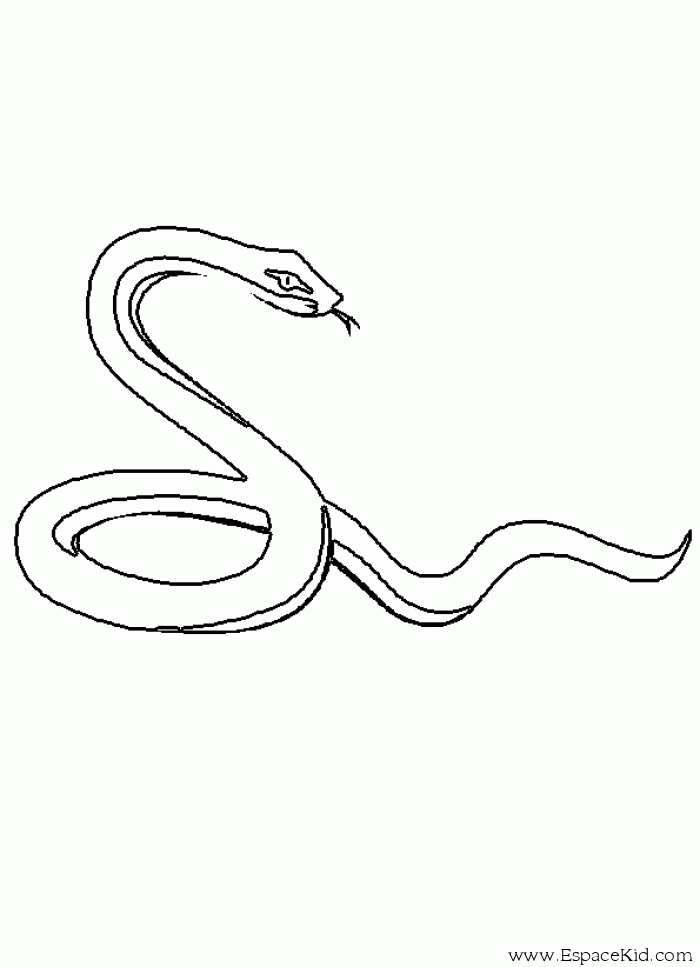 Coloring page: Snake (Animals) #14365 - Free Printable Coloring Pages