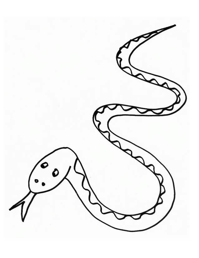 Coloring page: Snake (Animals) #14370 - Free Printable Coloring Pages